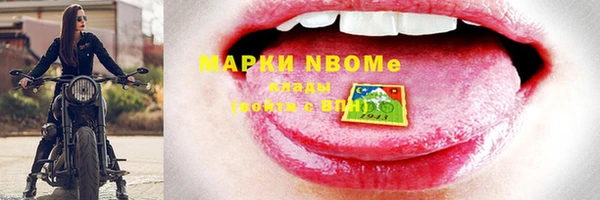 хмурый Аркадак