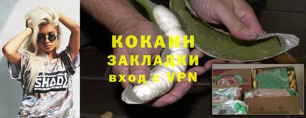 хмурый Аркадак
