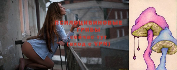хмурый Аркадак