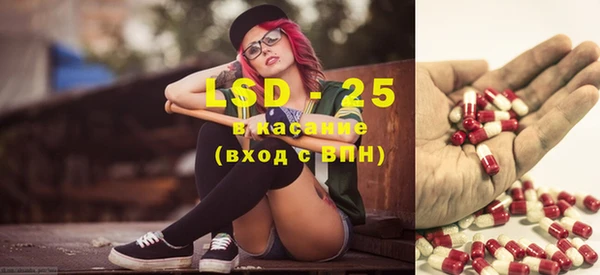 хмурый Аркадак