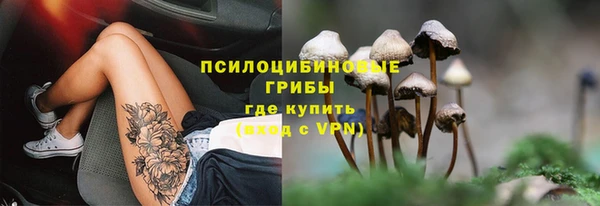 круглые Арсеньев