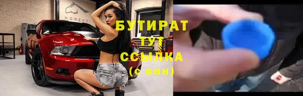 хмурый Аркадак