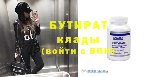 хмурый Аркадак