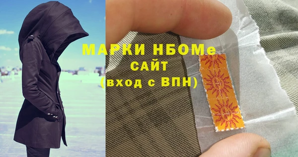хмурый Аркадак